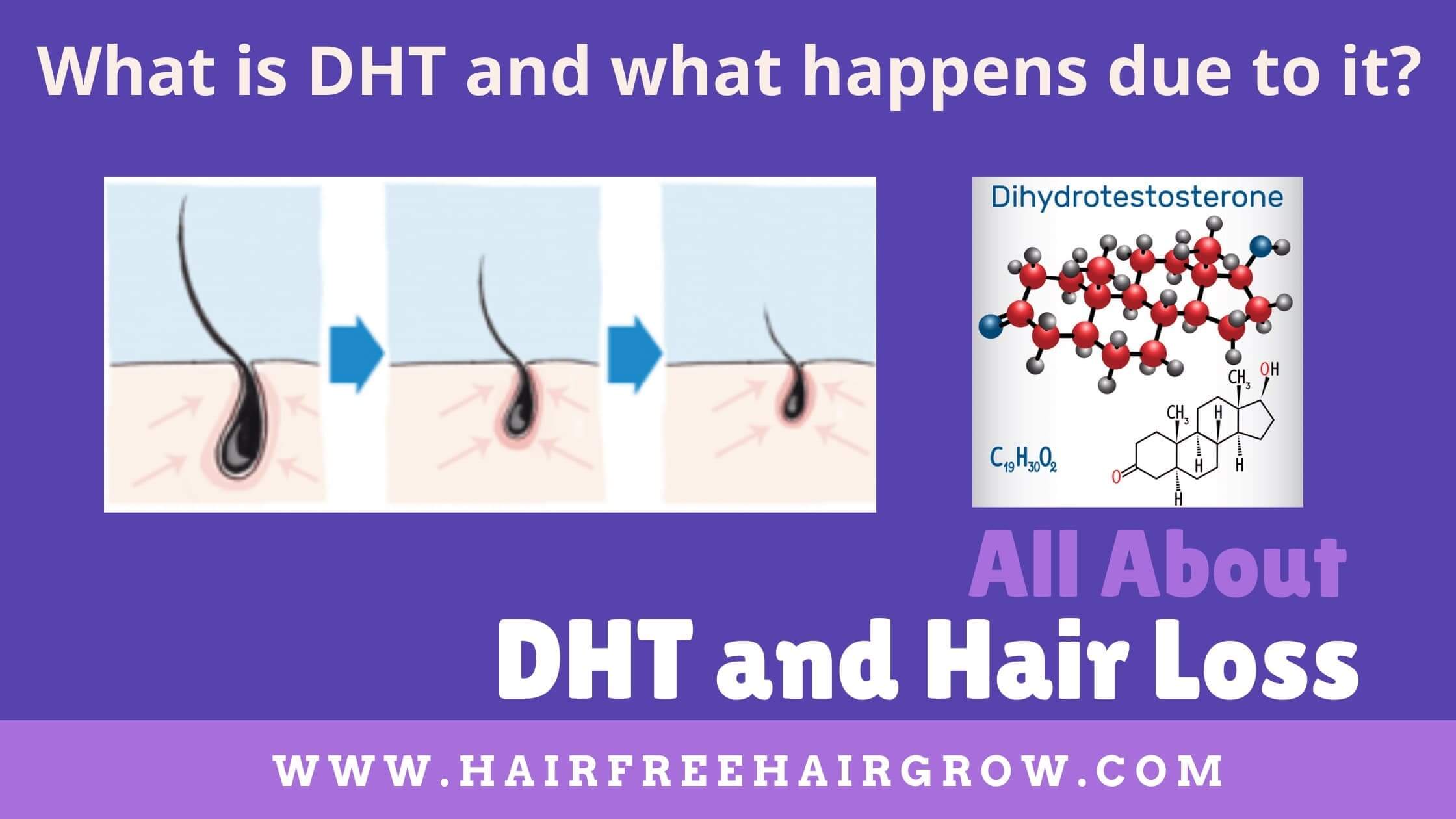 What is DHT and what happens due to it? - HairFree & HairGrow